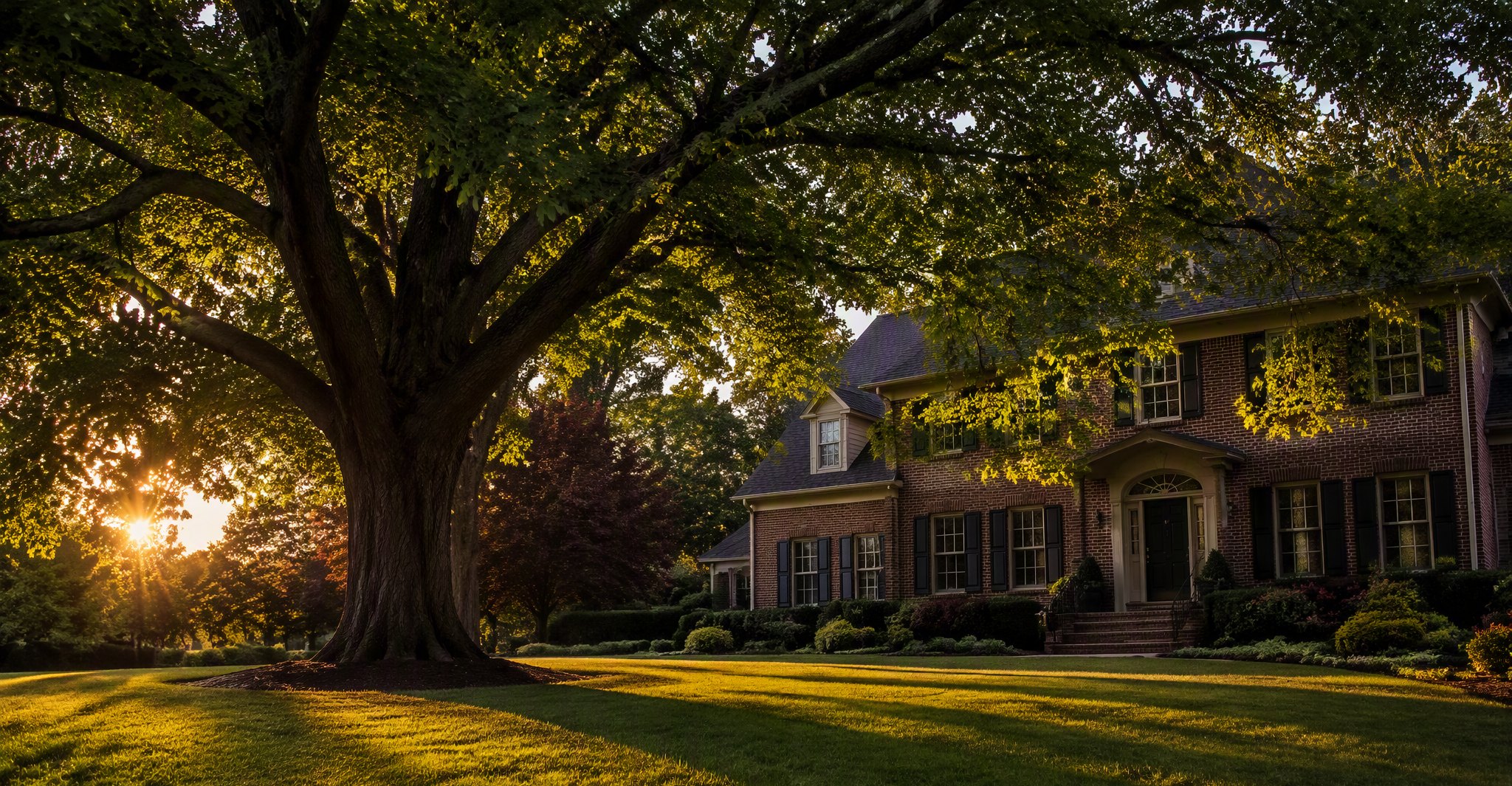 Trenton tree removal on a New Jersey property
